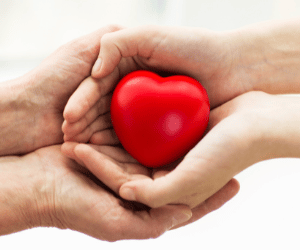 Veteran Elder Care Support Programs